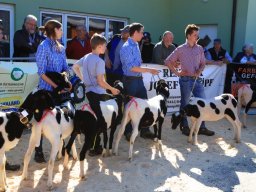 2019_ausstellung polling_621